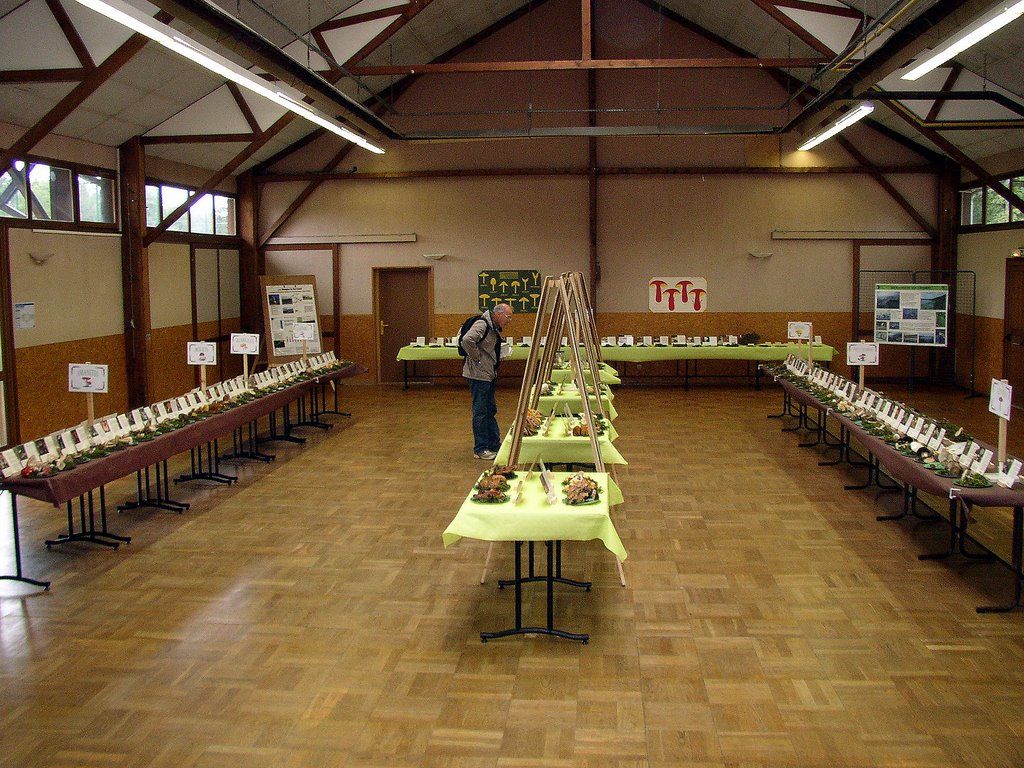 Expo champignons a Conde sur Vesgre 16
